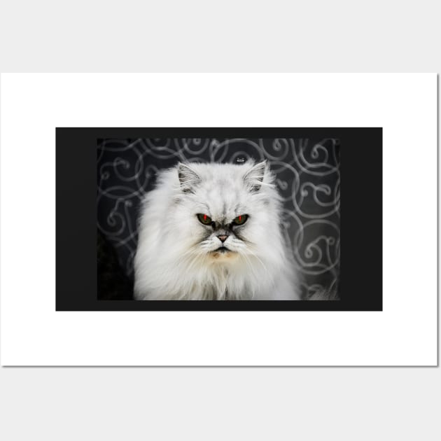 Perser Katze / Swiss Artwork Photography Wall Art by RaphaelWolf